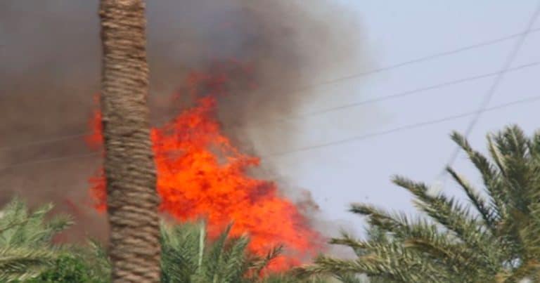 Firefighters battling fire that broke out in an abandoned date grove in Thermal