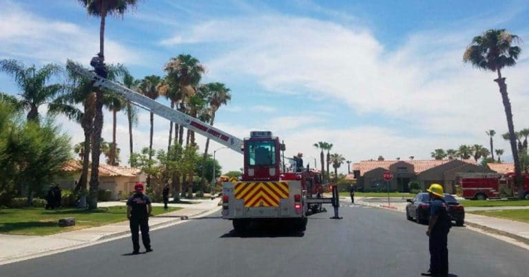 Firefighters rescue stuck tree trimmer in Palm Desert