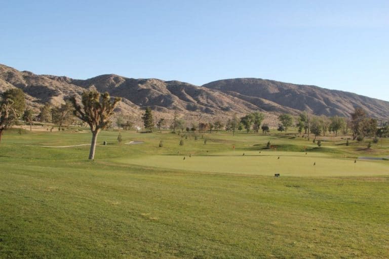 2 cause $1,500 in damages to Yucca Valley golf course after stealing cart