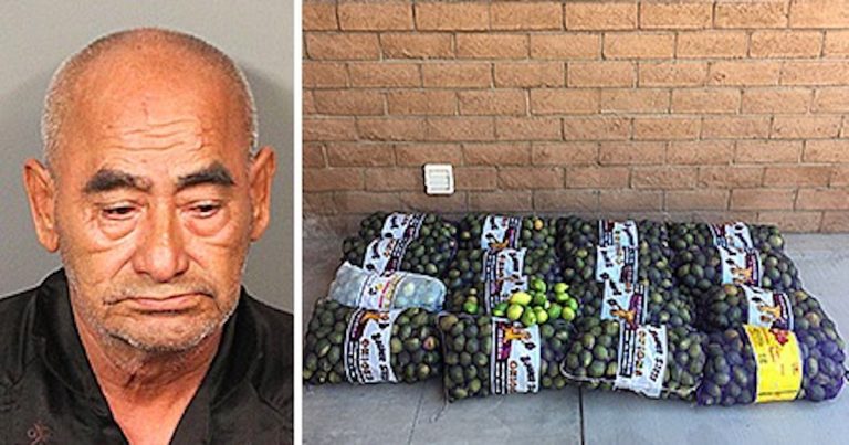 LA man arrested for stealing 800 pounds of lemons from Coachella Valley farms