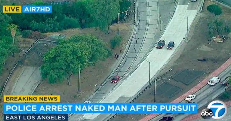 Video: Naked man leads police on foot chase in Los Angeles