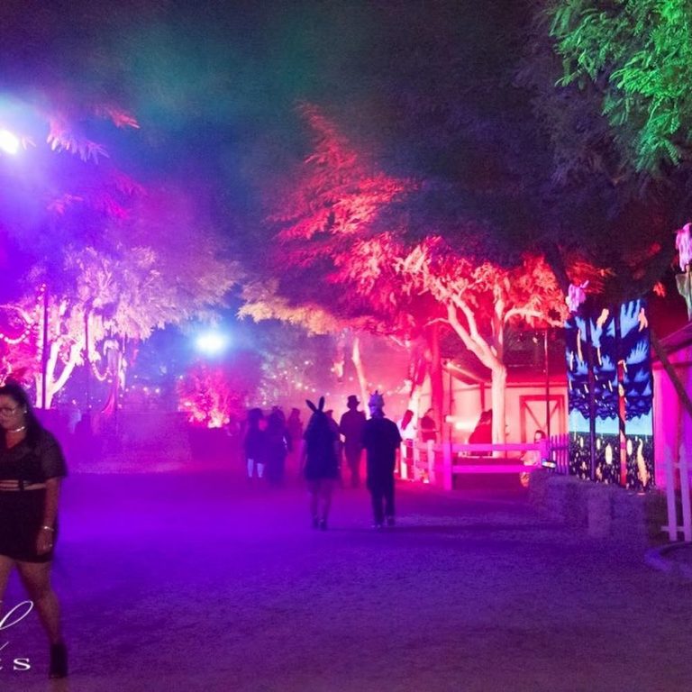 Halloween in Palm Springs All of the events, parties, and more