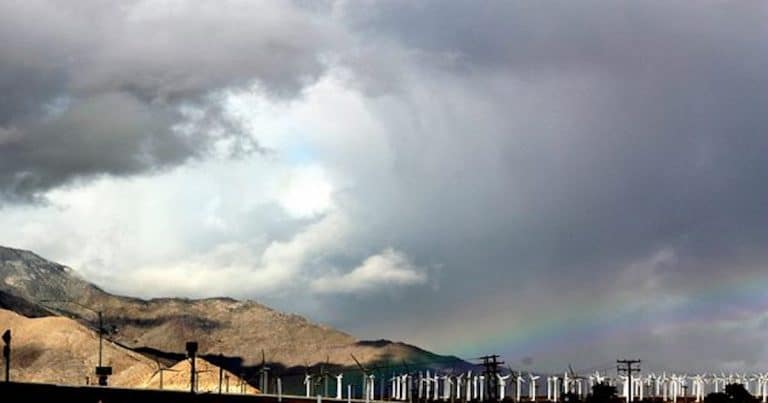 2019 has already seen twice the amount of rain in Palm Springs than in 2018