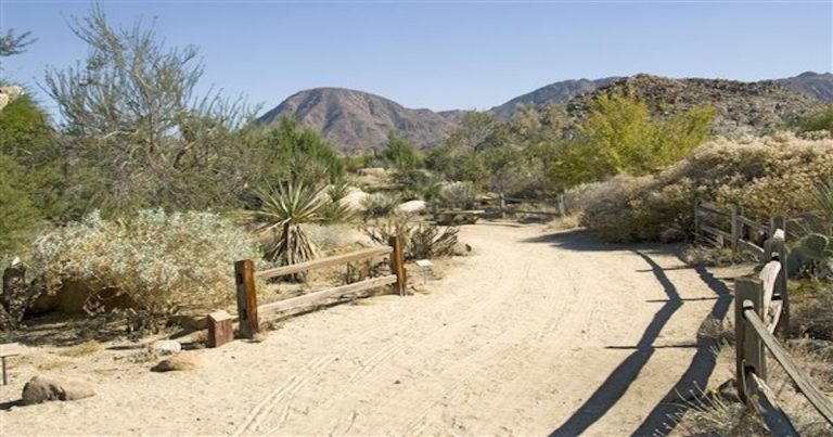 4th grade field trip to Living Desert marred by man hurling racial obscenities