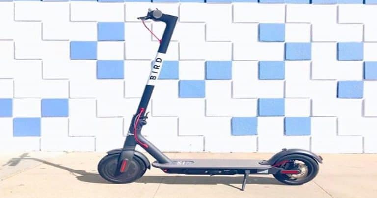 Bird Scooters have landed in Palm Springs