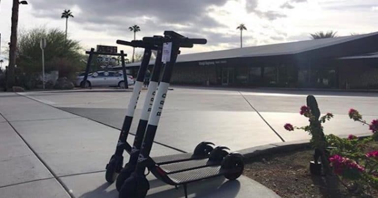 Palm Springs city workers spent Saturday collecting Bird Scooters