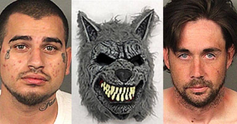 Two arrested for armed robbery wearing wolf costume in Palm Desert