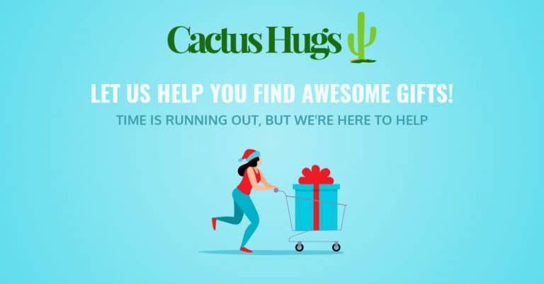 Let Cactus Hugs help you find those Christmas gifts