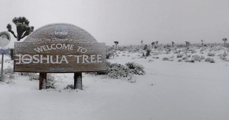 Photos: Snow falls (again) in Joshua Tree, Yucca Valley, and the Hi-Desert