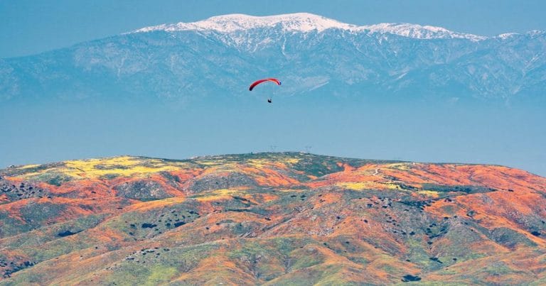 Well, here’s one way to enjoy the Super Bloom without having to deal with the crowds