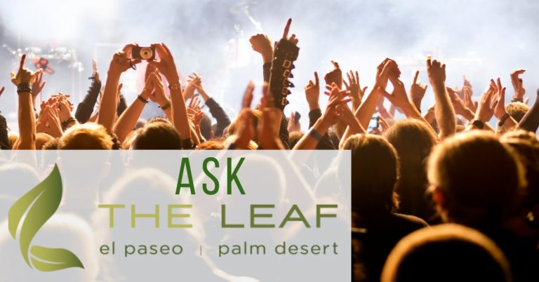 What do you recommend for the fests to have a good time without getting couched? | Ask the Leaf