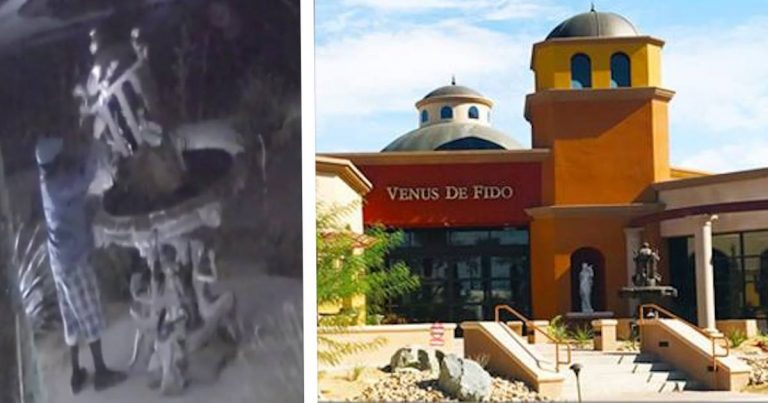 Owner of Palm Desert dog spa looking for man on bike who stole $17,000 fountain sculpture