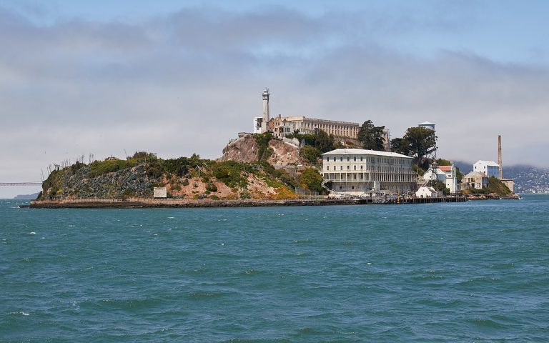 76-year-old swims from Alcatraz to San Francisco in under an hour