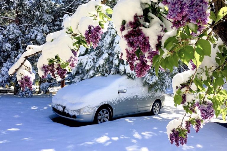 Big Bear just got a bunch of snow…in May!