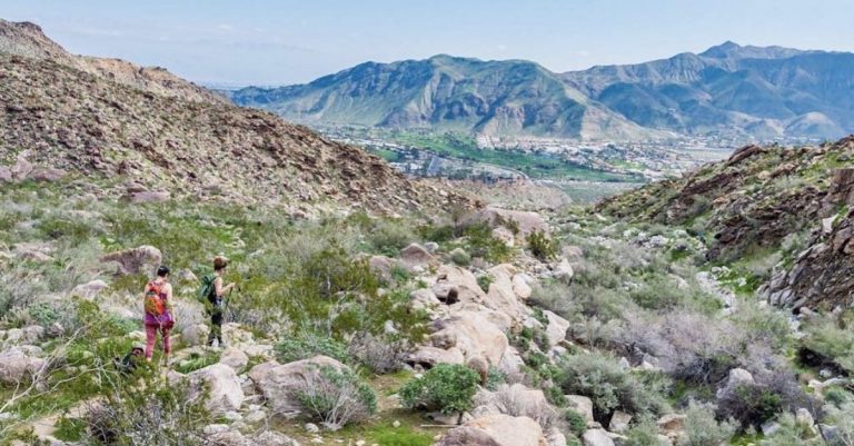 You can have a Palm Springs hiking trail named for you for only $500,000!