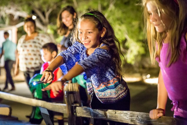 Safari Nights  coming to the Living Desert in September