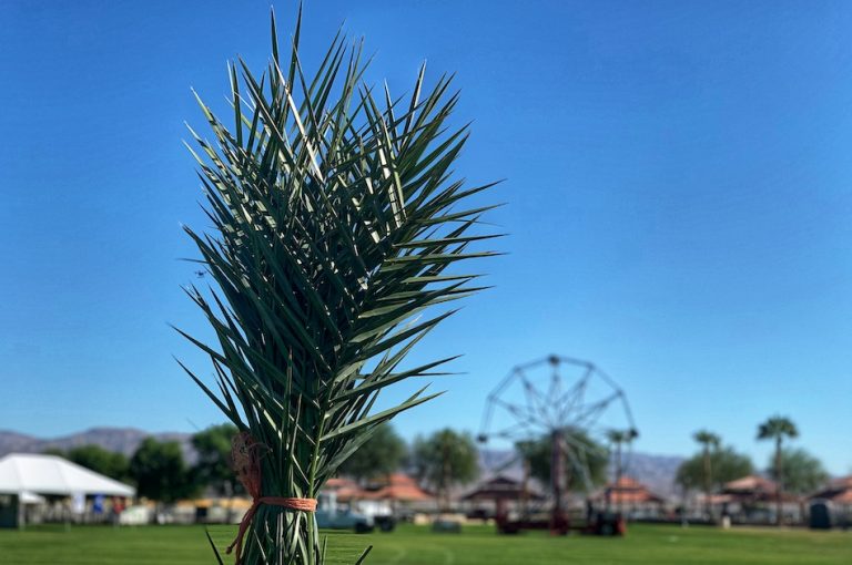 Photos: Here’s a preview of this weekend’s Date Harvest Festival