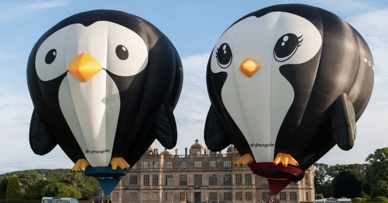 RIP Puddles, the penguin-shaped hot air balloon that caught fire in Cathedral City