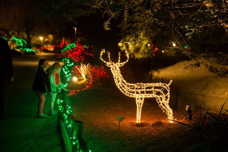 WildLights to return to the Living Desert starting November 27