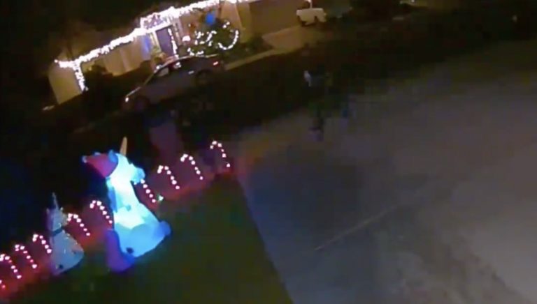 Video: Here are some jerks stealing Christmas decorations in Palm Desert