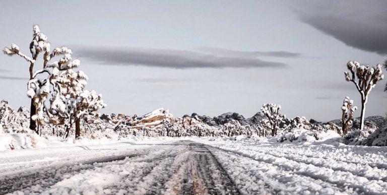 Photos: Joshua Tree and Pioneertown become a Winter Wonderland