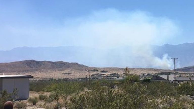 Tamarisk tree fire breaks out near 10 Freeway in Cathedral City