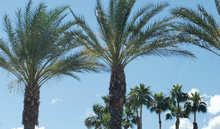 Coachella Valley coronavirus news and info | Thursday, June 4