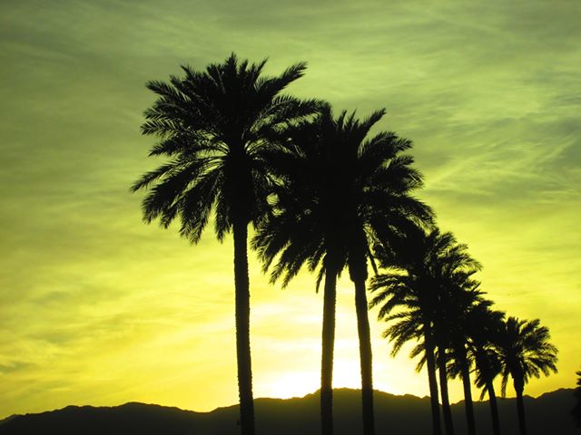 Coachella Valley coronavirus news and info | Friday, June 5