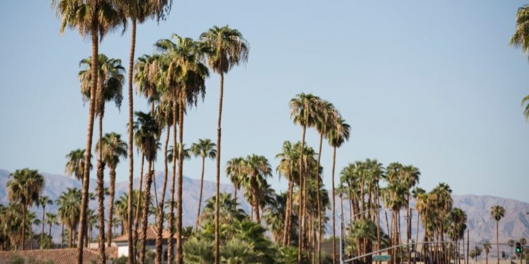 Coachella Valley coronavirus news and info | Thursday, September 3