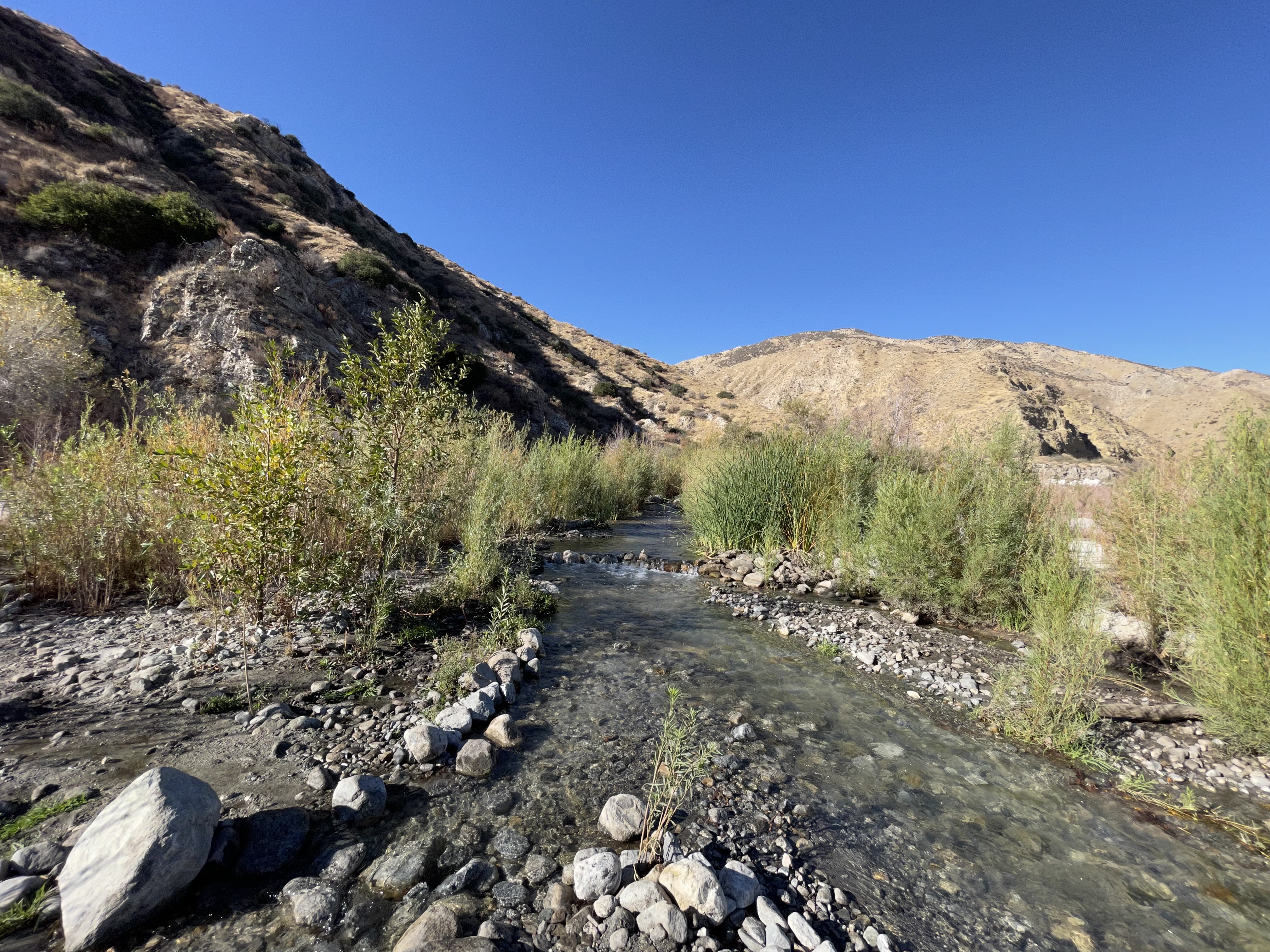 Whitewater River flowing between shrubs and rocky canyon slopes