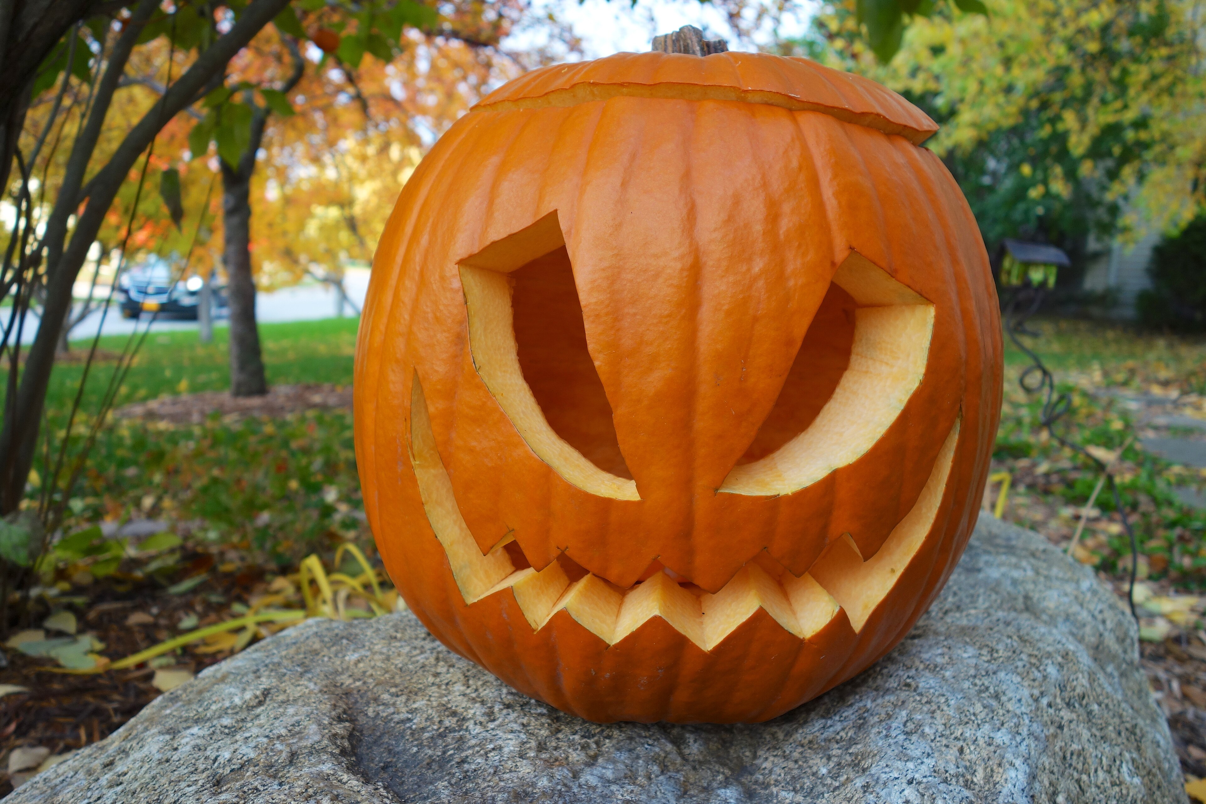 An orange carved Halloween jack-o-lantern sitting on a rock with trees in the background